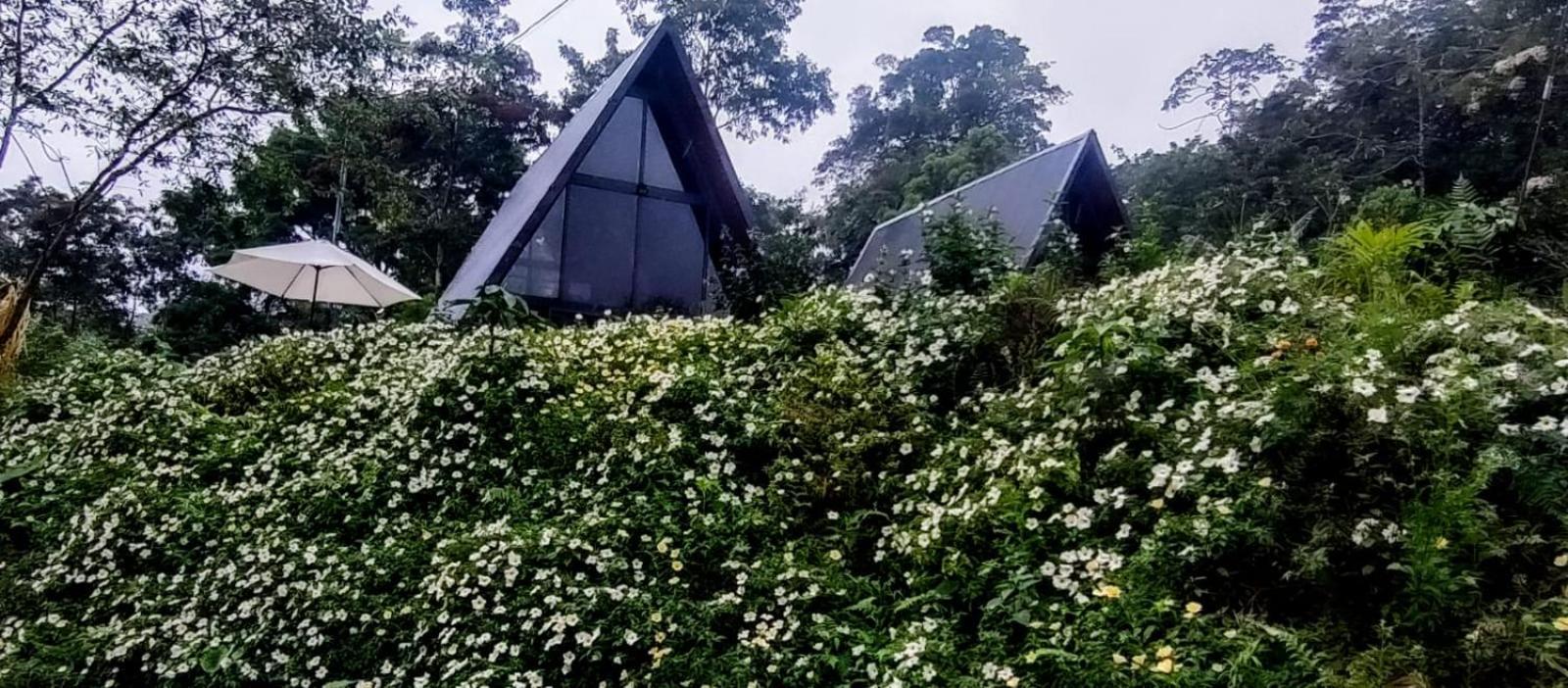 Yarumo Lodge, Rio Celeste Black Chalets Bijagua Exterior photo