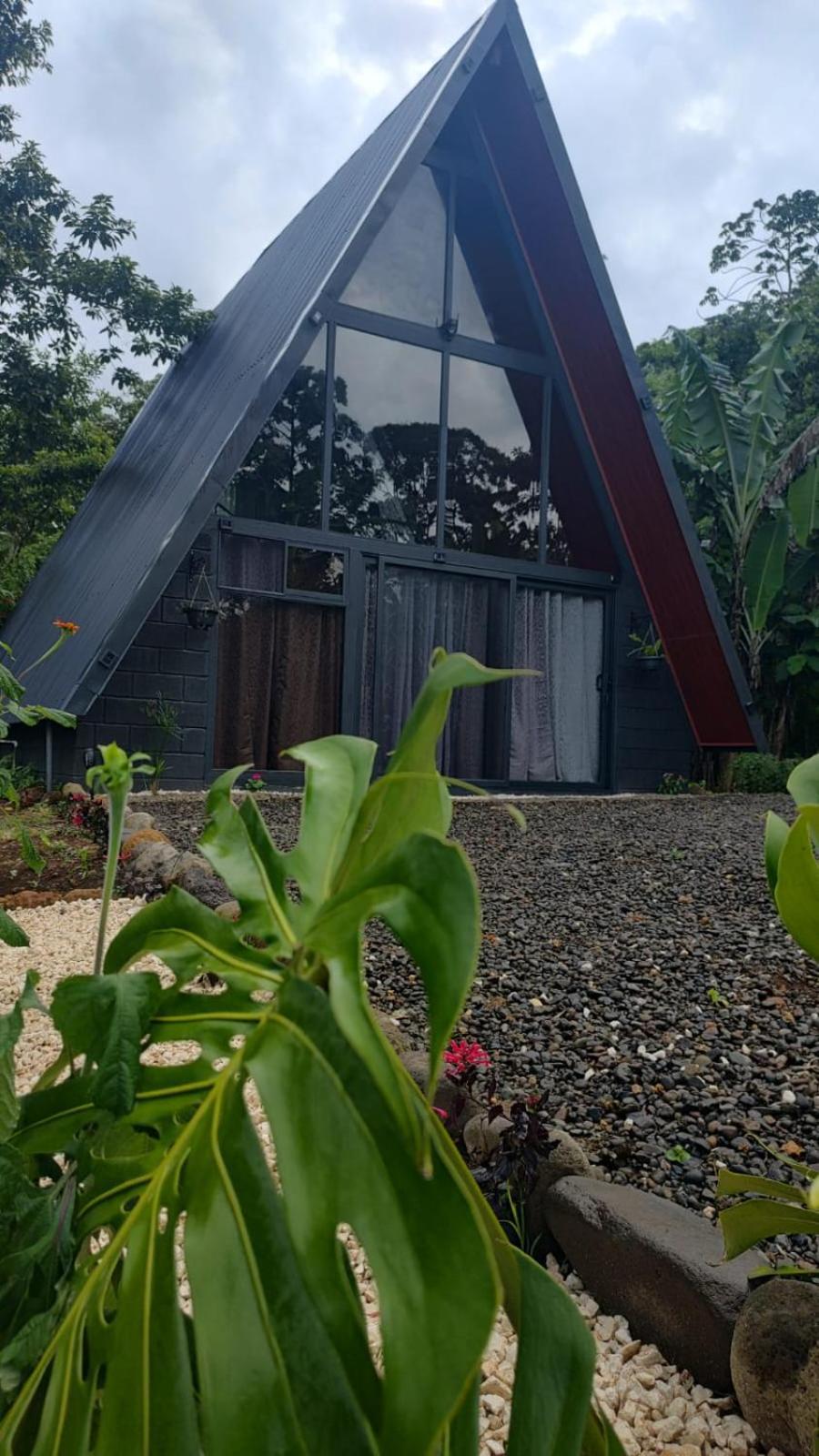 Yarumo Lodge, Rio Celeste Black Chalets Bijagua Exterior photo